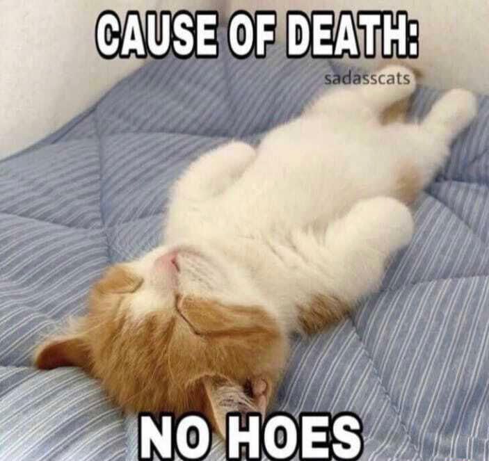 LMAO